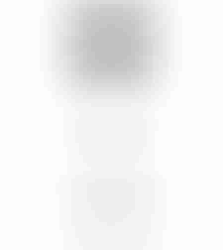 ANSELM LAMP FLOOR SILVER BLACK 41x25xH154cm CE IN