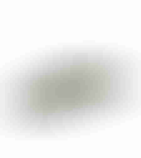 CALAN BOWL DECORATIVE 52x20x13 ALUMINIUM SILVER