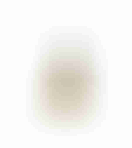 BOTTIGLIA 26 VASE ALUMINIUM GOLD 16,5x15xD26cm IN