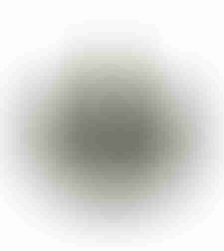 JABBAR DECO WALL SEAGRASS NATURAL BLACK 85xH59cm V