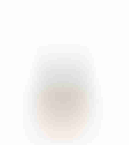 XMAS WINT TREE ALUMINIUM WOOD MANGO SILVER NATURAL