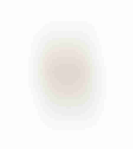 AROMA BLOSSOMS ARTIFICIAL FLOWER FOAM PVC R GR