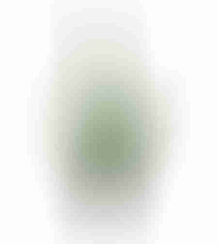 ZAMIA ARTIFICIAL PLANT IN POT FABRIC PVC GREEN H85