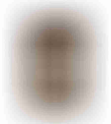 CENTER CARPET LEATHER WOOL BROWN BLACK BEIGE 160x2