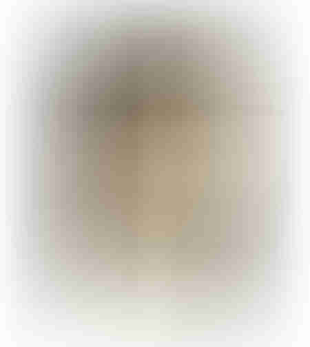 SERENITY A PAINTING DECORATIVE WITH FRAME 80x120x4 CANVAS BEIGE BROWN PP