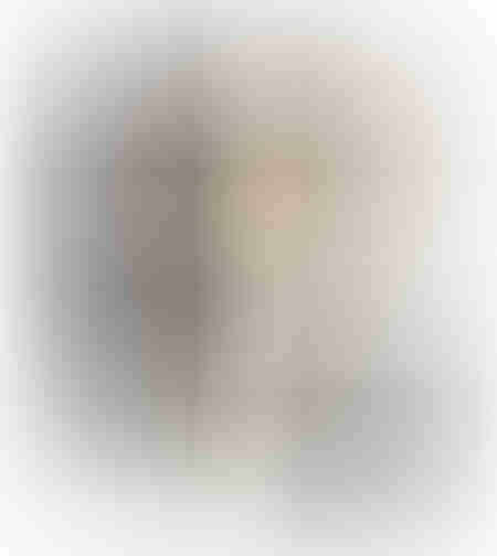 BEYOND THE VEIL PAINTING DECORATIVE WITH FRAME 90x120x4 CANVAS BEIGE BLACK PP