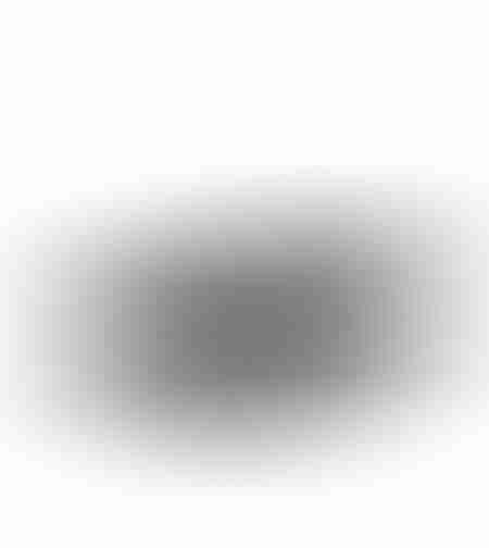 ARTIOM BOWL DECORATIVE 38x16x9 ALUMINIUM BLACK