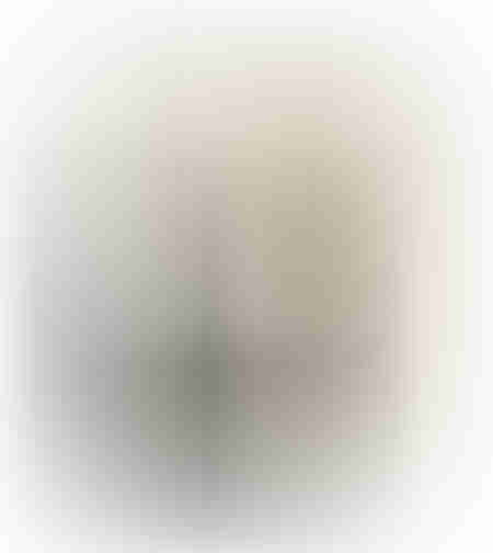 HORM PAINTING DECORATIVE 80x100x5 CANVAS WHITE BEIGE BLACK WOOD NATURA