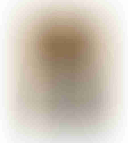 TIMELESS ELEGANCE A PAINTING DECORATIVE WITH FRAME 80x120x4 CANVAS BROWN BEIGE PP BLACK