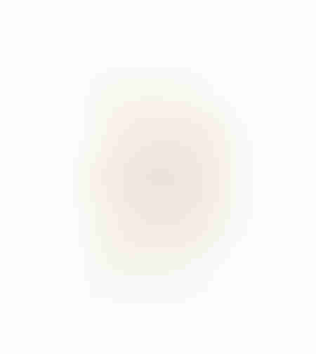 AROMA ESSENCE ARTIFICIAL FLOWER FOAM PVC BEI H70