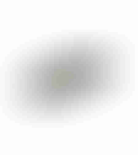 MANDY TRAY ALUMINIUM SILVER MATTE 31x17xH1cm IN