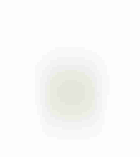 MALULU ARTIFICIAL BRANCH EVA FOAM GREEN BROWN H95c