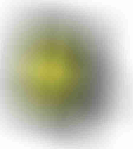 IPURO LIME LIGHT 3gr FRAGRANCE CAR LINE EU