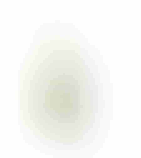 IPURO HO.RE.CA ESSENTIALS LIME LIGHT FRAGRANCE 1L