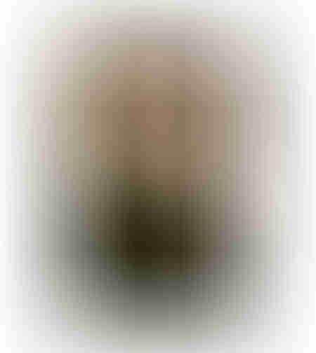 SILENT REFLECTION PAINTING DECORATIVE WITH FRAME 80x120x4 CANVAS BROWN BEIGE PP GREEN