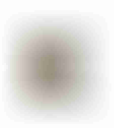 SABLE 4 DECOR CUSHION COTTON BEIGE BROWN 45x45cm E