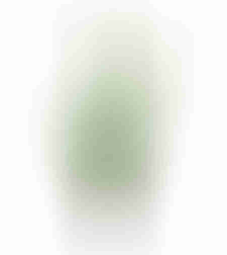 ZAMIA ARTIFICIAL PLANT IN POT FABRIC PVC GREEN H95