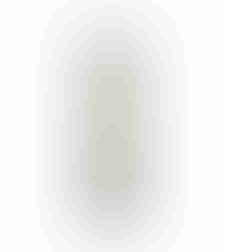 BREATH OF ART 1 PAINTING CANVAS BEIGE GOLD WOOD FR