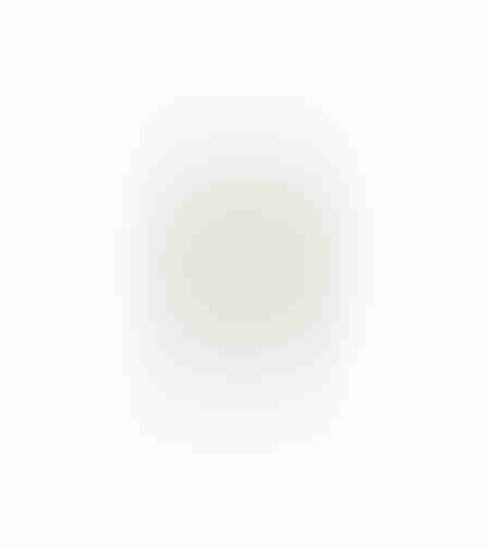 AROMA WISHPER ARTIFICIAL FLOWER FOAM PVC GRE GRE