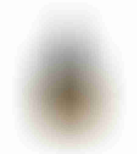CHERN VASE POLYRESIN NATURAL SILVER D13,5xH19,5cm
