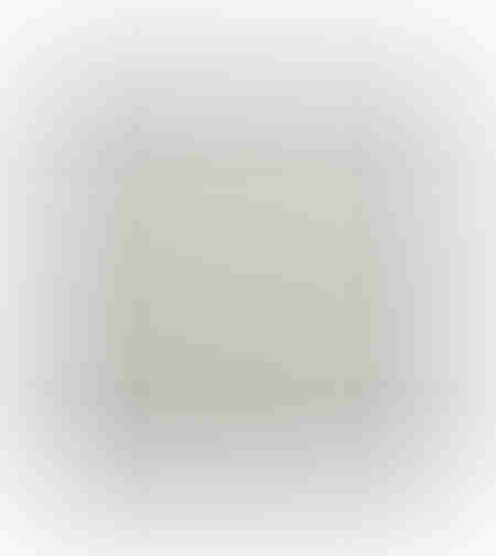 WHITE FINGERPRINTS B PAINTING CANVAS WHITE FRAME S