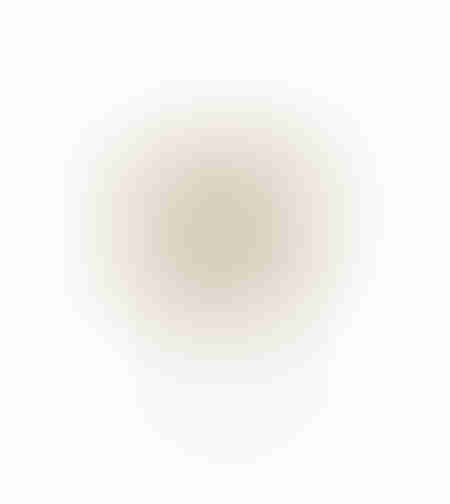 AROMA ESSENCE ARTIFICIAL FLOWER FOAM PVC BEIGE H26
