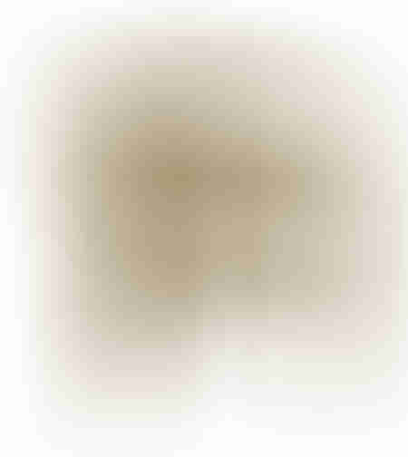 NYX ARMCHAIR FABRIC OLIVE GREEN LIGHT PRC