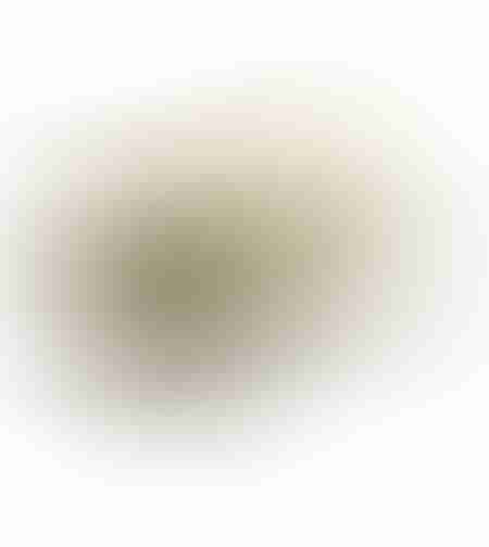 ALPHA COFFEE TABLE VENEER PAULOWNIA WHITE WASHED METAL BLACK 120x66xH45cm E1 PRC