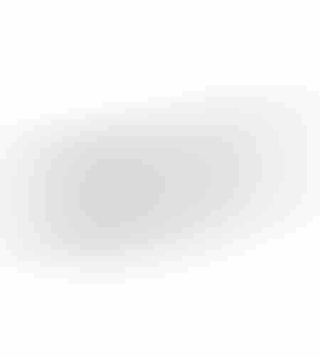 RICUS BOWL ALUMINIUM SILVER 65x17xH4cm IN