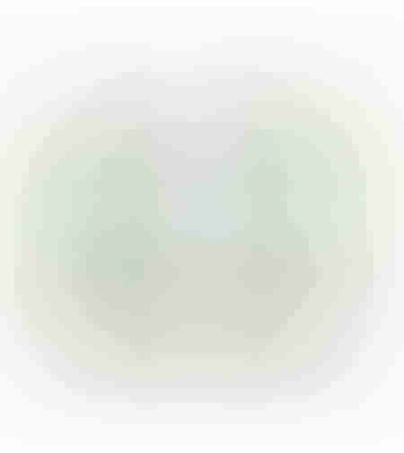 IPURO WHITE LILY FRAGRANCE SET 2x50ml EU