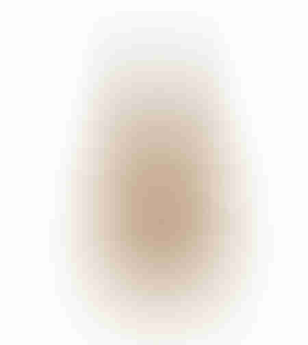 XMAS NATALE 2 TREE WOOD NATURAL GREY 24x8xH41cm IN