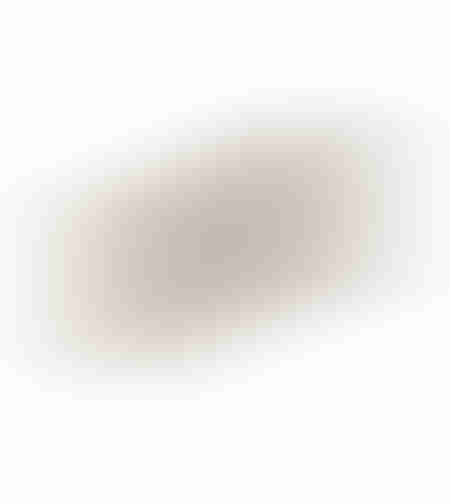 ORLY FLAT TRAY ALUMINIUM CHAMPAGNE 58x24xH3cm IN