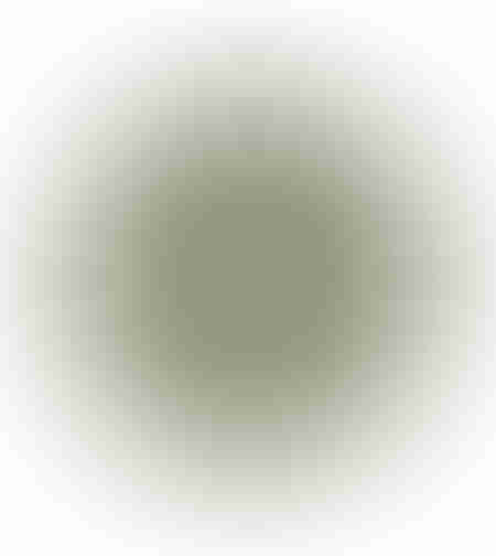 NILE PLACE MAT KANSGRASS PVC NATURAL WHITE D35xH1c