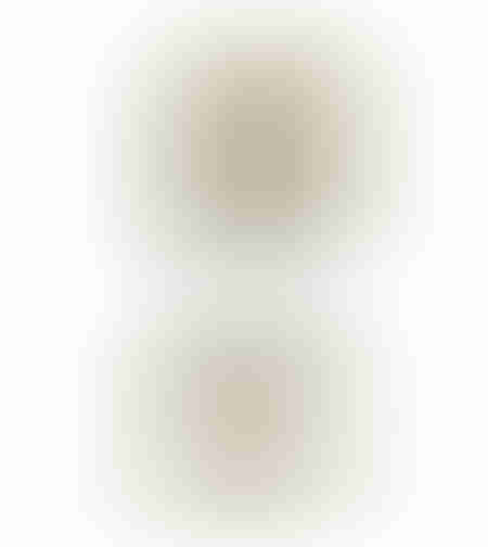 JARNI 2 DECO FACE POLYRESIN WHITE GOLD 15x10,5xH28