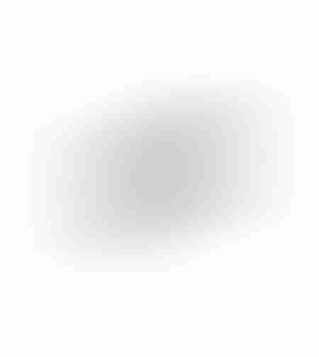 ORLY FLAT TRAY ALUMINIUM SILVER 49x19xH2cm IN