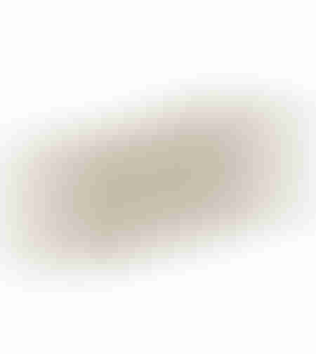 GRANTAS TRAY DECORATIVE 50x18x8 ALUMINIUM GOLD