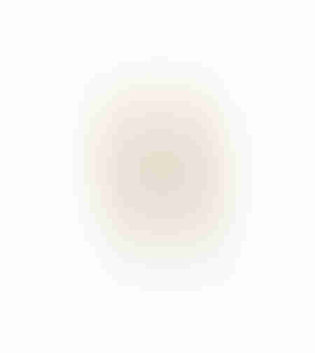 AROMA BLOOMS ARTIFICIAL FLOWER FOAM PVC YELLOW H74