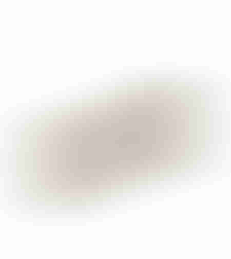 THREAD TRAY ALUMINIUM CHAMPAGNE 50x19xH1,5cm IN