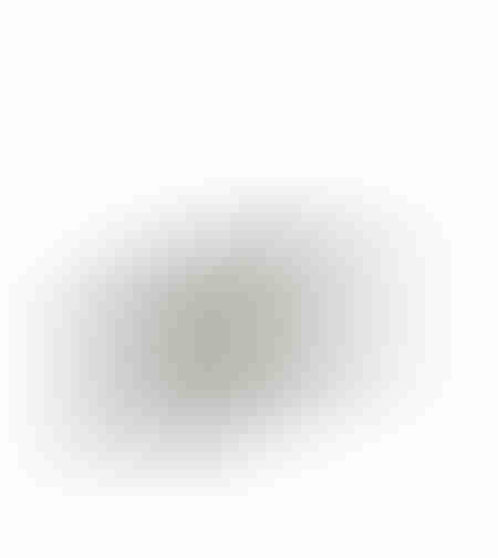 CALAN BOWL DECORATIVE 37x15x10 ALUMINIUM SILVER