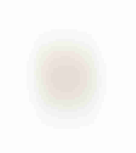 AROMA ESSENCE ARTIFICIAL FLOWER FOAM PVC BEI GRE