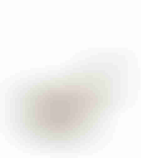 BALENA DECORATION FISH 20x14x8.5 POLYRESIN BEIGE BROWN