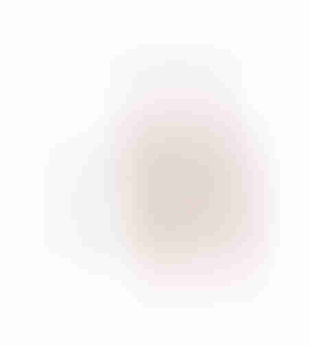 XMAS POWDER DEER 2 DEER POLYFOAM PLASTIC WHITE RED