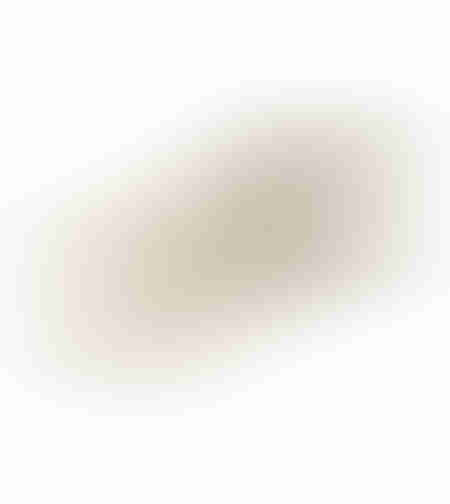 ORLY TRAY ALUMINIUM CHAMPAGNE 52x20xH3cm IN
