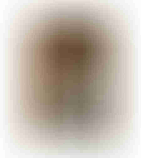 TIMELESS ELEGANCE C PAINTING DECORATIVE WITH FRAME 80x120x4 CANVAS BROWN BEIGE PP BLACK