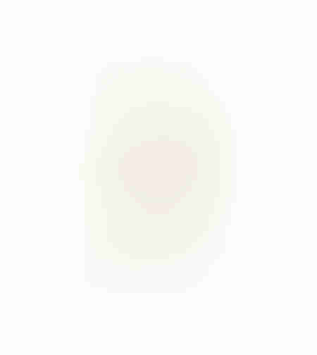 AROMA DELIGHTS ARTIFICIAL FLOWER FOAM PVC CREAM