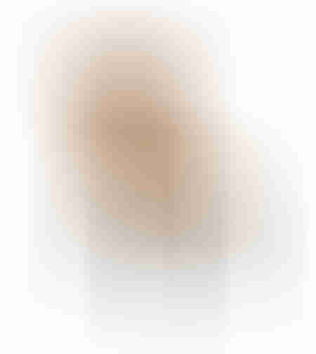 TORRO CHAIR FABRIC GOLD WOOD BLACK E1 PRC