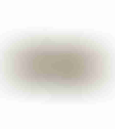 TRISUL TRAY ALUMINIUM GOLD ANTIQUE 50x25xH7cm IN