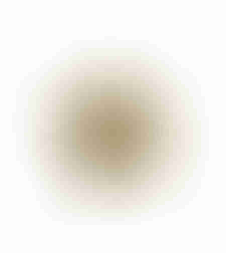 IBISCUS DECO WALL POLYRESIN GOLD 27x6xH26cm PRC