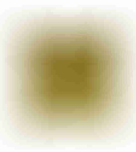 SERI DECOR CUSHION VELVET GOLD 45x45cm PRC
