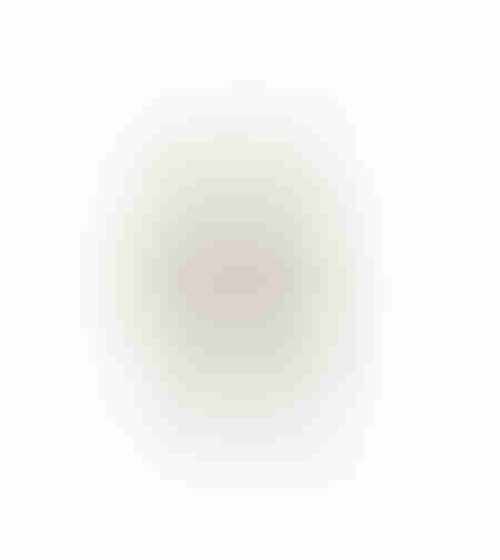 AROMA WISHPER ARTIFICIAL FLOWER FOAM PVC N GRE